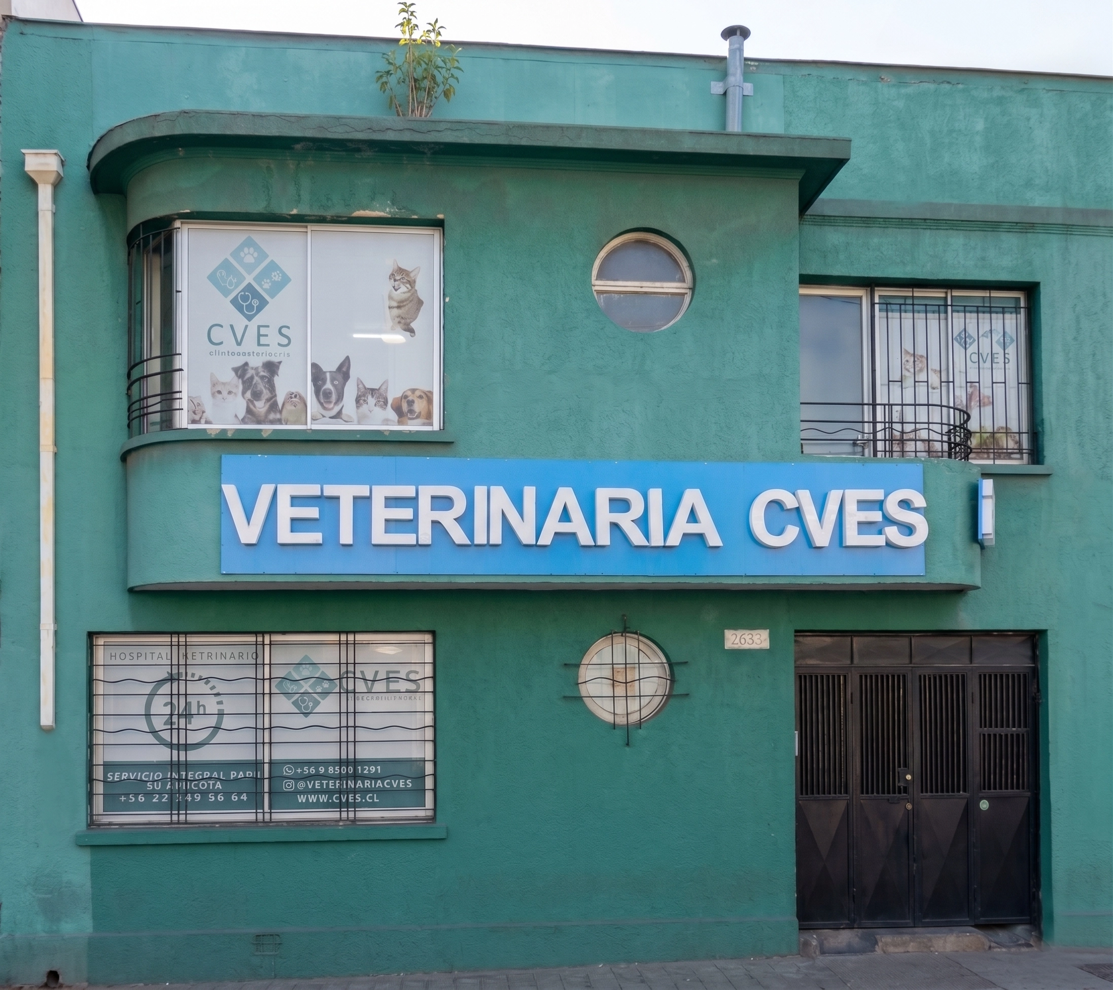 Equipo m&eacute;dico de CVES en consulta veterinaria